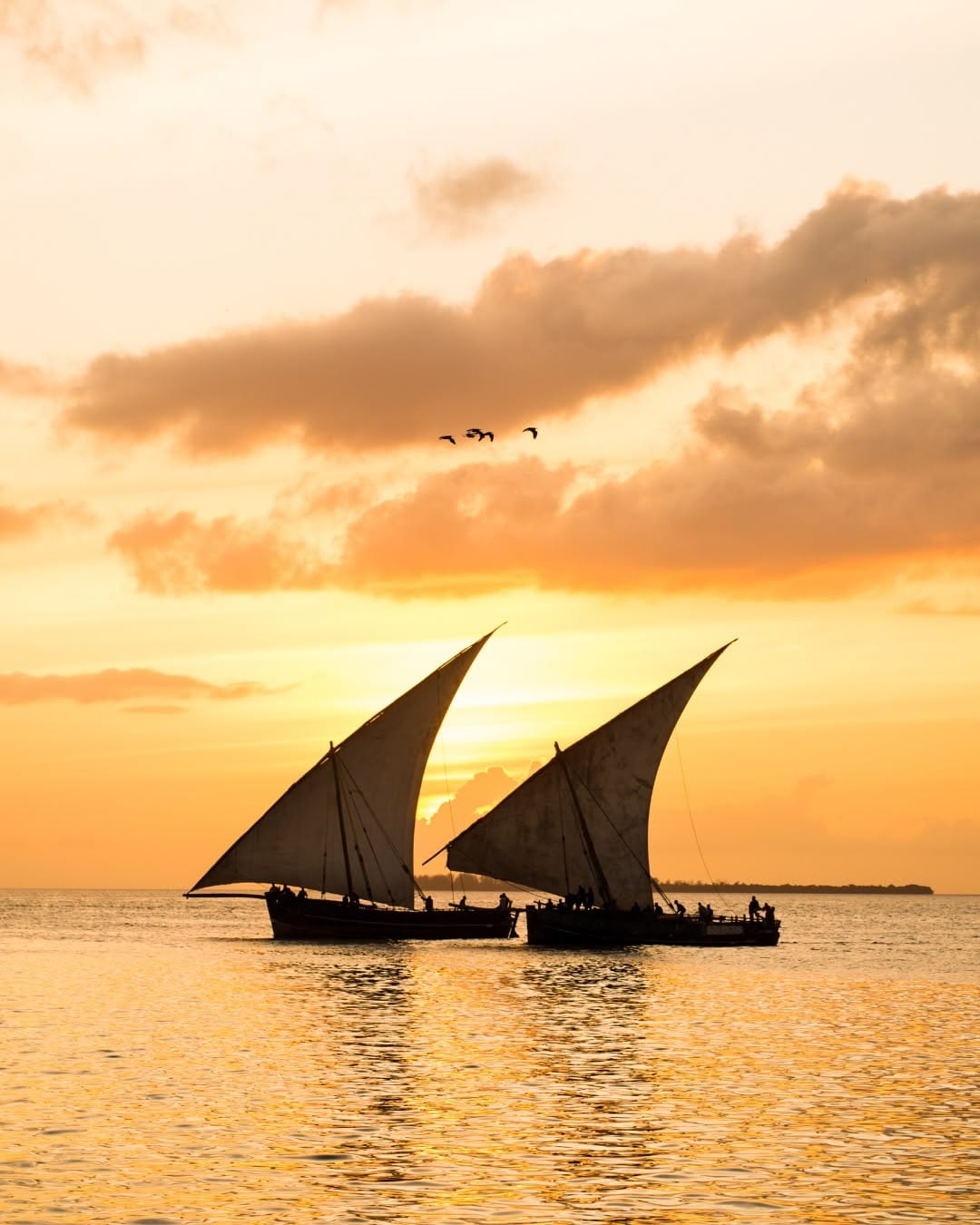 Sunset waterfront cruise
